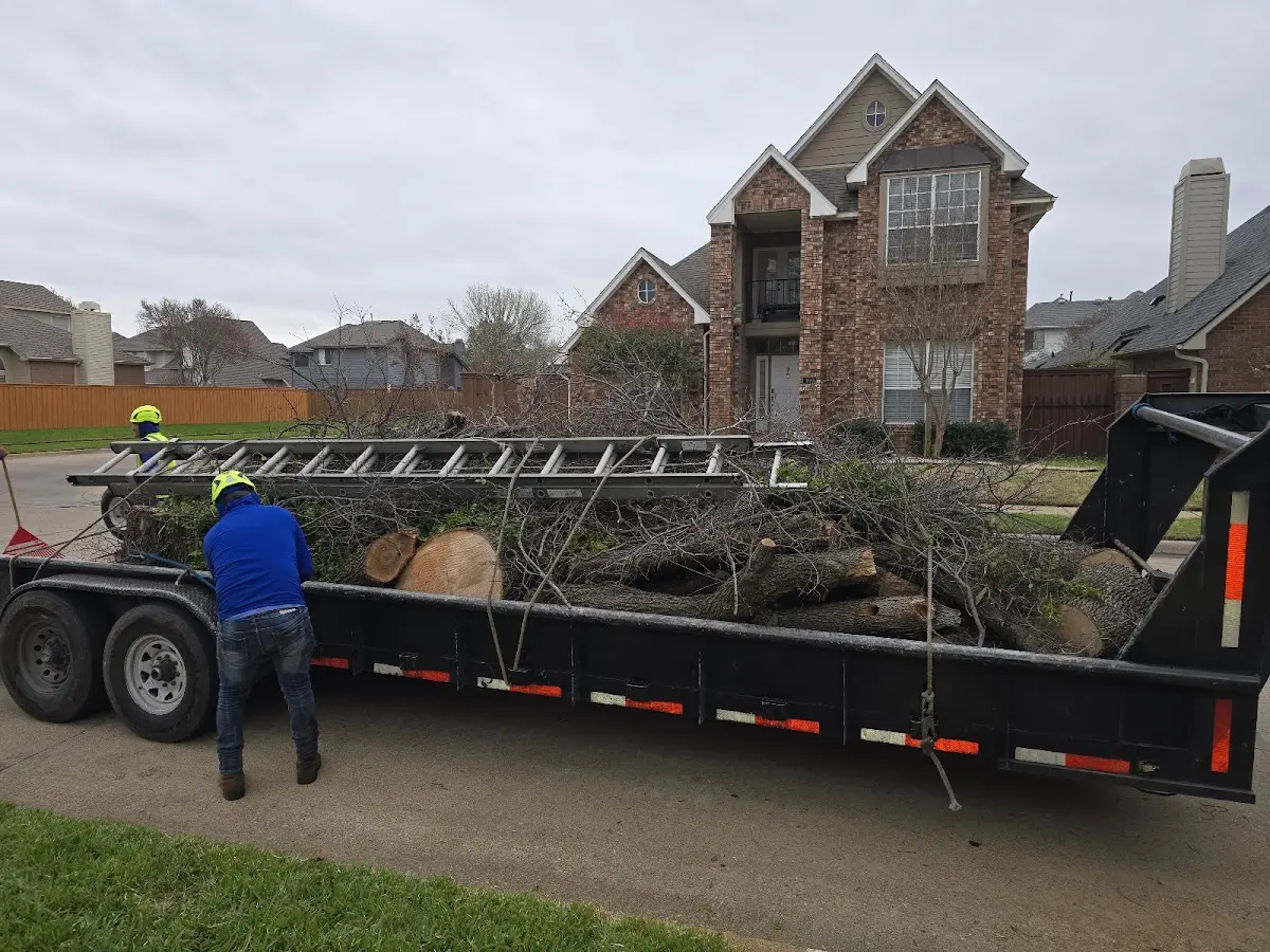 Expert Tree Fertilization with proper safety equipment in Steinauer